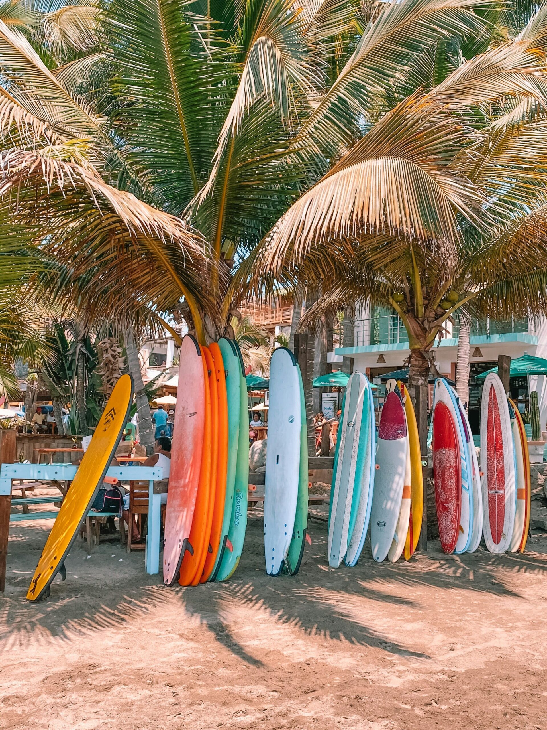 Colección de tablas de surf de colores apoyadas en una palmera en una tienda de surf al aire libre


